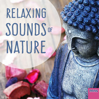 Thumbnail for the Spa - Classical Music link, provided by host site