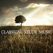 Thumbnail for the Relaxing Piano Music Consort - Classical Study Music link, provided by host site