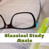 Thumbnail for the Peaceful Piano - Classical Study Music – Ambient Piano, Music for Learning, Classical Piano link, provided by host site