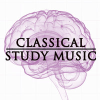 Thumbnail for the Classical Study Music - Classical Study Music link, provided by host site