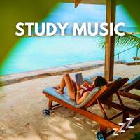 Thumbnail for the Study Music - Classical Study Music & Relaxing Ocean Waves for Concentration link, provided by host site