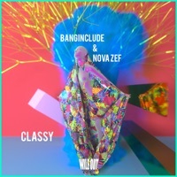 Thumbnail for the Banginclude - Classy link, provided by host site