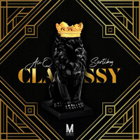 Thumbnail for the Ale Q - Classy link, provided by host site