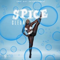 Thumbnail for the Spice - Clean link, provided by host site