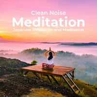Thumbnail for the Japanese Relaxation and Meditation - Clean Noise Meditation link, provided by host site
