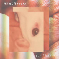 Thumbnail for the HTMLflowers - Clear History link, provided by host site