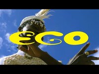 Thumbnail for the Pierre Kwenders - Ego link, provided by host site