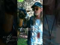 Thumbnail for the Pantera - Cleveland Recap link, provided by host site