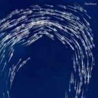 Thumbnail for the Harbour - Clockwise round a high link, provided by host site