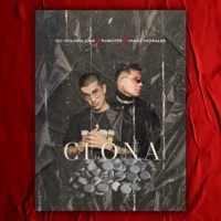 Thumbnail for the Go Golden Junk - Clona link, provided by host site