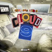 Thumbnail for the Spank Nitti James - Cloud 9 link, provided by host site