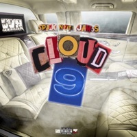 Thumbnail for the Spank Nitti James - Cloud 9 link, provided by host site