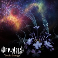 Image of Citta Flow linking to their artist page due to link from them being at the top of the main table on this page