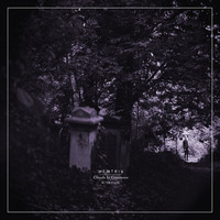 Thumbnail for the Memtrix - Clouds in Commune / Ic Yr Pain link, provided by host site