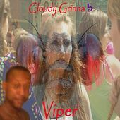 Thumbnail for the Viper - Cloudy Grinna 5 link, provided by host site