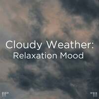 Thumbnail for the Meditation Rain Sounds - !!!" Cloudy Weather: Relaxation Mood "!!! link, provided by host site