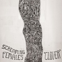 Thumbnail for the Screaming Females - Clover link, provided by host site