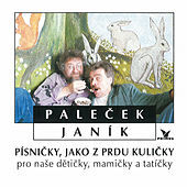Thumbnail for the Miroslav Paleček - Co je to kapesný link, provided by host site