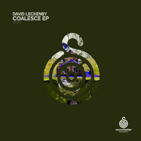 Thumbnail for the Dave Leck - Coalesce (Extended Mix) link, provided by host site