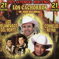 Thumbnail for the Los Relámpagos del Norte - Cobardemente link, provided by host site