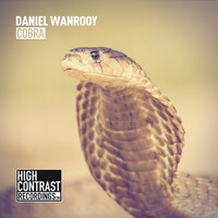 Thumbnail for the Daniel Wanrooy - Cobra link, provided by host site