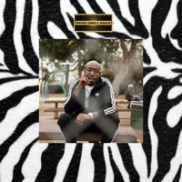 Thumbnail for the Freddie Gibbs - Cocaine Parties (Instrumental) link, provided by host site