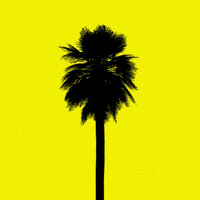 Thumbnail for the Inner Solution - Coconuts link, provided by host site