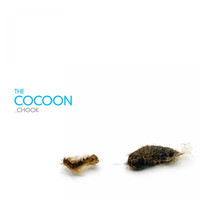 Thumbnail for the Chook - Cocoon - Original Mix link, provided by host site
