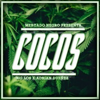 Thumbnail for the Big Los - Cocos link, provided by host site
