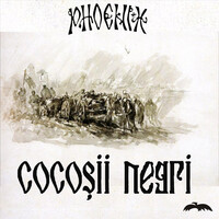 Thumbnail for the Phoenix - Cocoşii Negri link, provided by host site