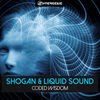 Thumbnail for the Liquid Sound - Coded Wisdom link, provided by host site