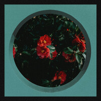 Thumbnail for the Cluster - Codex link, provided by host site