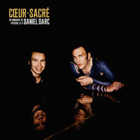 Thumbnail for the Daniel Darc - Cœur sacré - un hommage de Frédéric Lo à Daniel Darc link, provided by host site