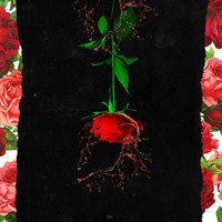 Thumbnail for the Cognac - Cognac & Roses link, provided by host site