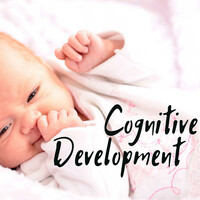 Thumbnail for the Child Synesthesia - Cognitive Development - Educational New Age Instrumental Music for Child Memory Improvement link, provided by host site