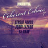 Thumbnail for the Sergio Pardo - Coherent Echoes link, provided by host site