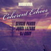 Thumbnail for the Sergio Pardo - Coherent Echoes link, provided by host site