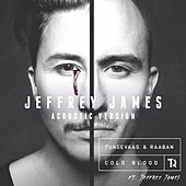 Thumbnail for the Tungevaag & Raaban - Cold Blood (Jeffrey James Acoustic Version) link, provided by host site