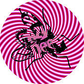 Thumbnail for the Jouhl - Cold Calling link, provided by host site