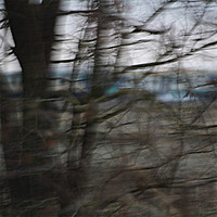 Thumbnail for the Xis - cold days link, provided by host site