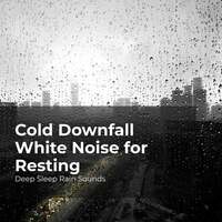 Thumbnail for the Deep Sleep Rain Sounds - Cold Downfall White Noise for Resting link, provided by host site