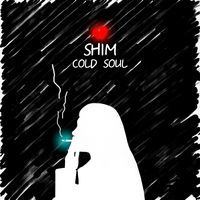 Thumbnail for the Shim - Cold Soul (Переиздание) link, provided by host site