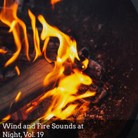 Thumbnail for the Angela Davis - Cold Wind link, provided by host site