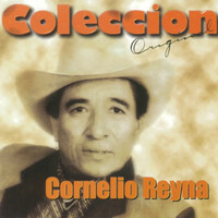 Image of Cornelio Reyna linking to their artist page due to link from them being at the top of the main table on this page