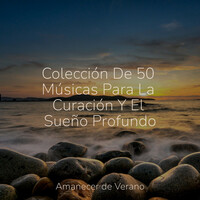 Thumbnail for the Meditation Spa - Colección De 50 Músicas Para La Curación Y El Sueño Profundo link, provided by host site