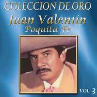 Thumbnail for the Juan Valentin - Colección De Oro, Vol. 3: Poquita Fe link, provided by host site