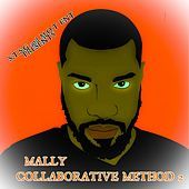 Thumbnail for the Mally - Collaborative Method 2 link, provided by host site