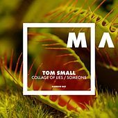 Thumbnail for the Tom Small - Collage of Lies / Someone link, provided by host site