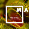 Thumbnail for the Tom Small - Collage of Lies / Someone link, provided by host site