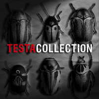 Thumbnail for the Testa - Collection link, provided by host site